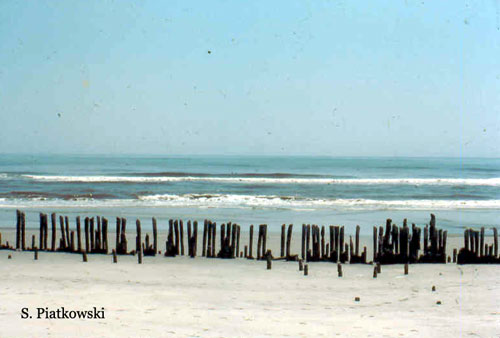 [Brigantine beach]